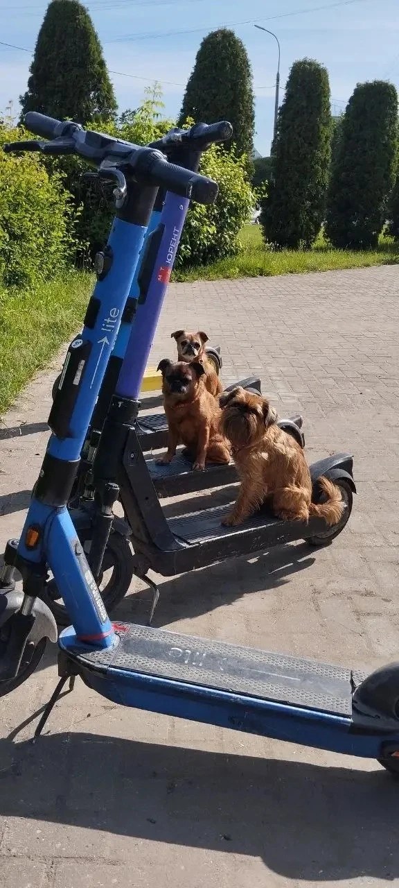 Удачный кадр