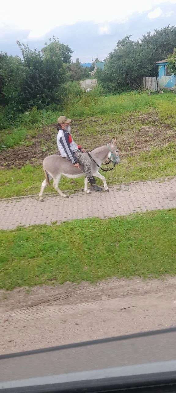 В Мещовске заметили давно забытый вид транспорта)