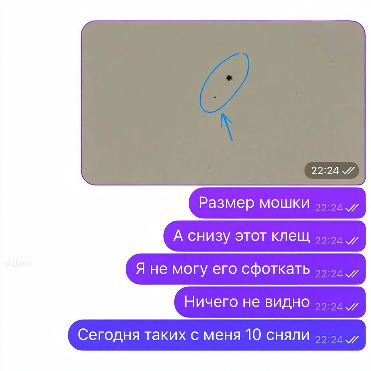 Россиян массово атакуют микроклещи — нимфы иксодовых клещей размером всего 1-2 миллиметра Россиян массово атакуют микроклещи — нимфы иксодовых клещей размером всего 1-2 миллиметра
