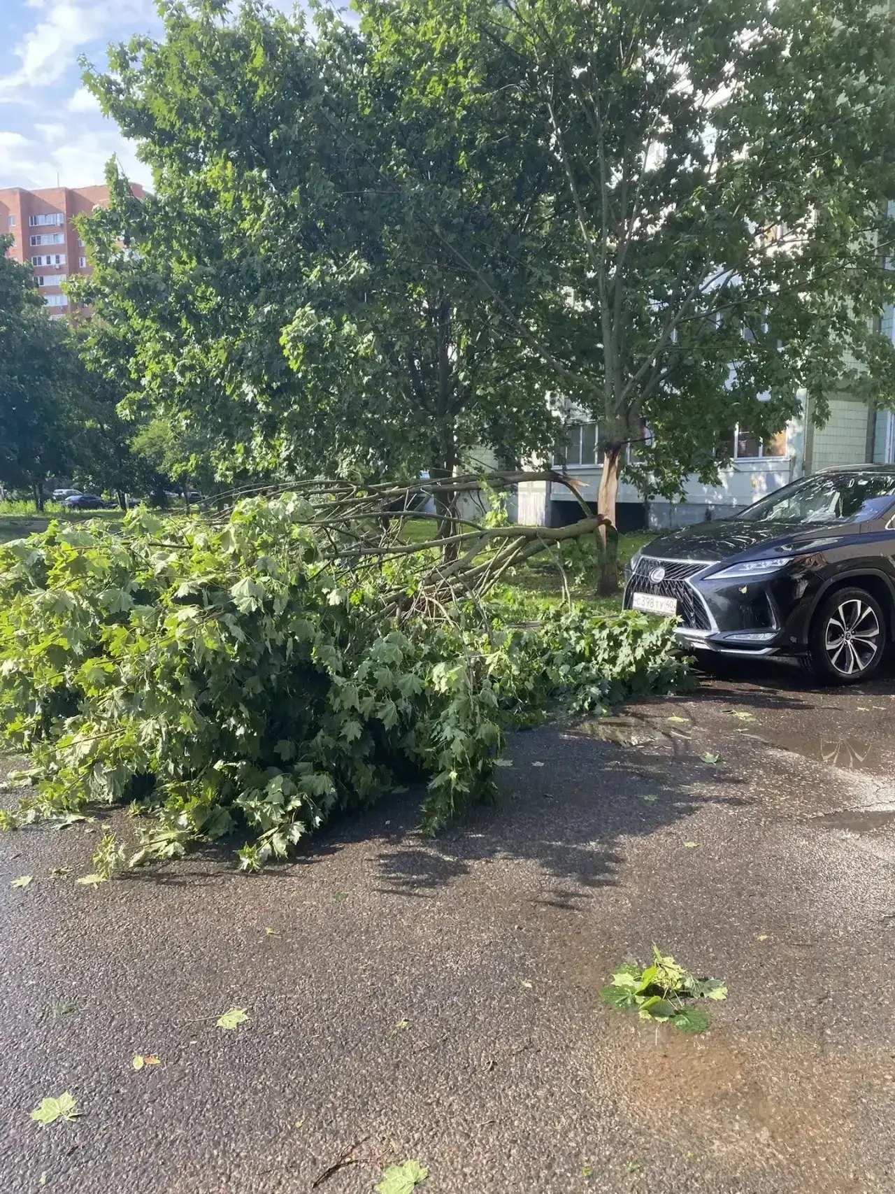 Обнинск пережил первый налет урагана! Повалено больше 20 деревьев.