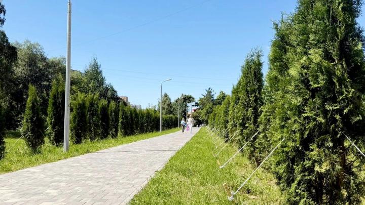 Аллея рядом с детским садом «Сказка» — Настоящий Обнинск