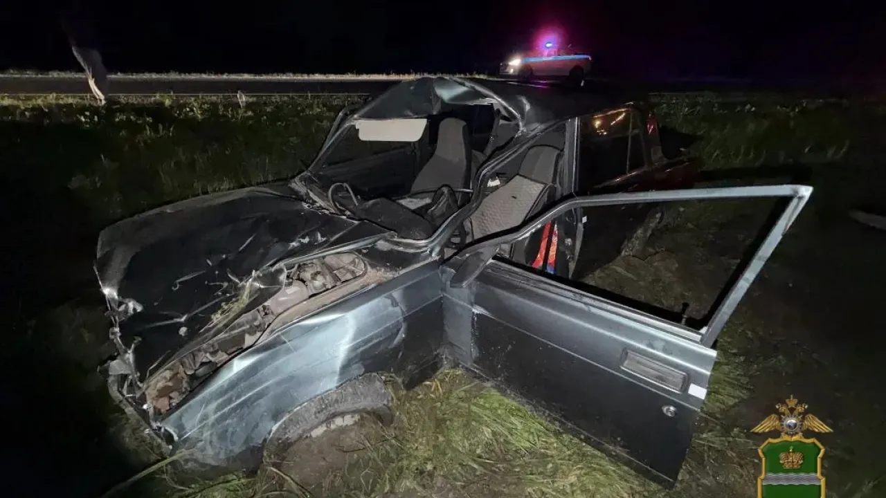 На трассе Р-132 в Калужской области автомобиль съехал в кювет после наезда на лося